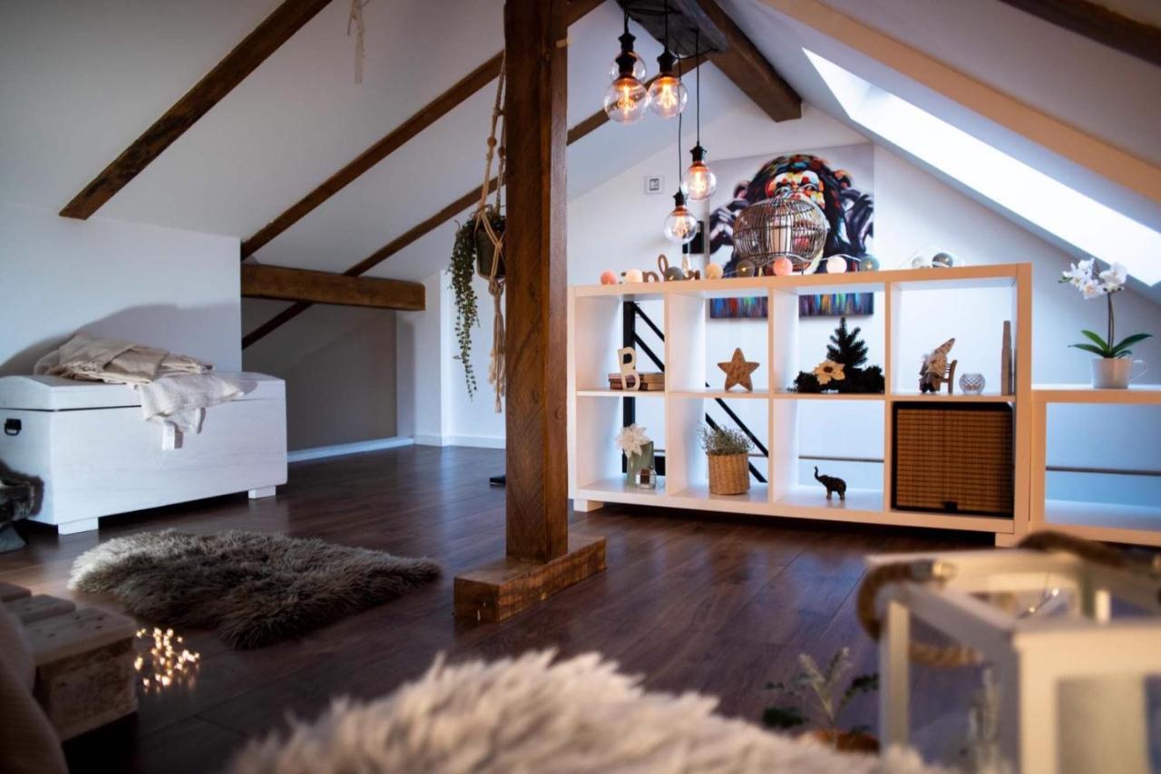 Sremska Kamenica Todor Boutique Houseヴィラ エクステリア 写真