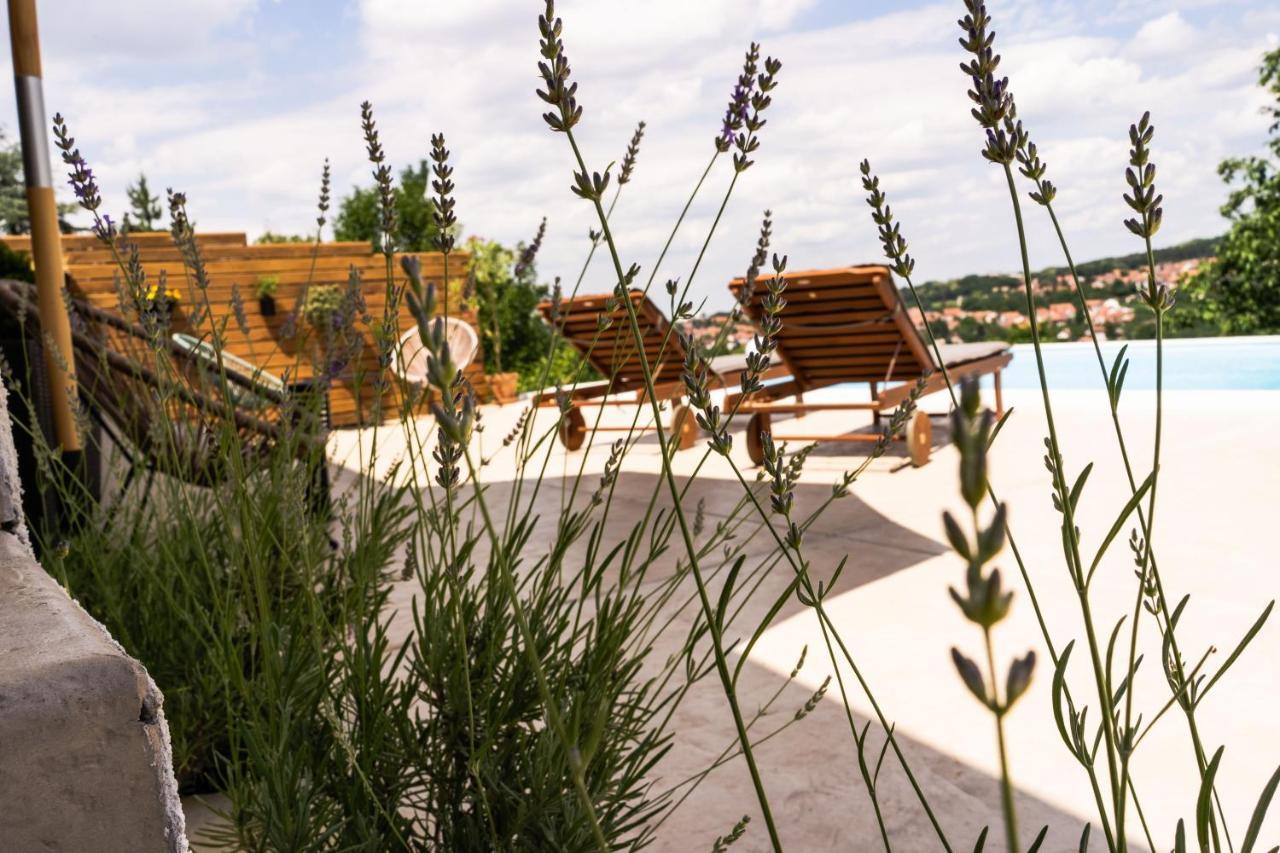 Sremska Kamenica Todor Boutique Houseヴィラ エクステリア 写真